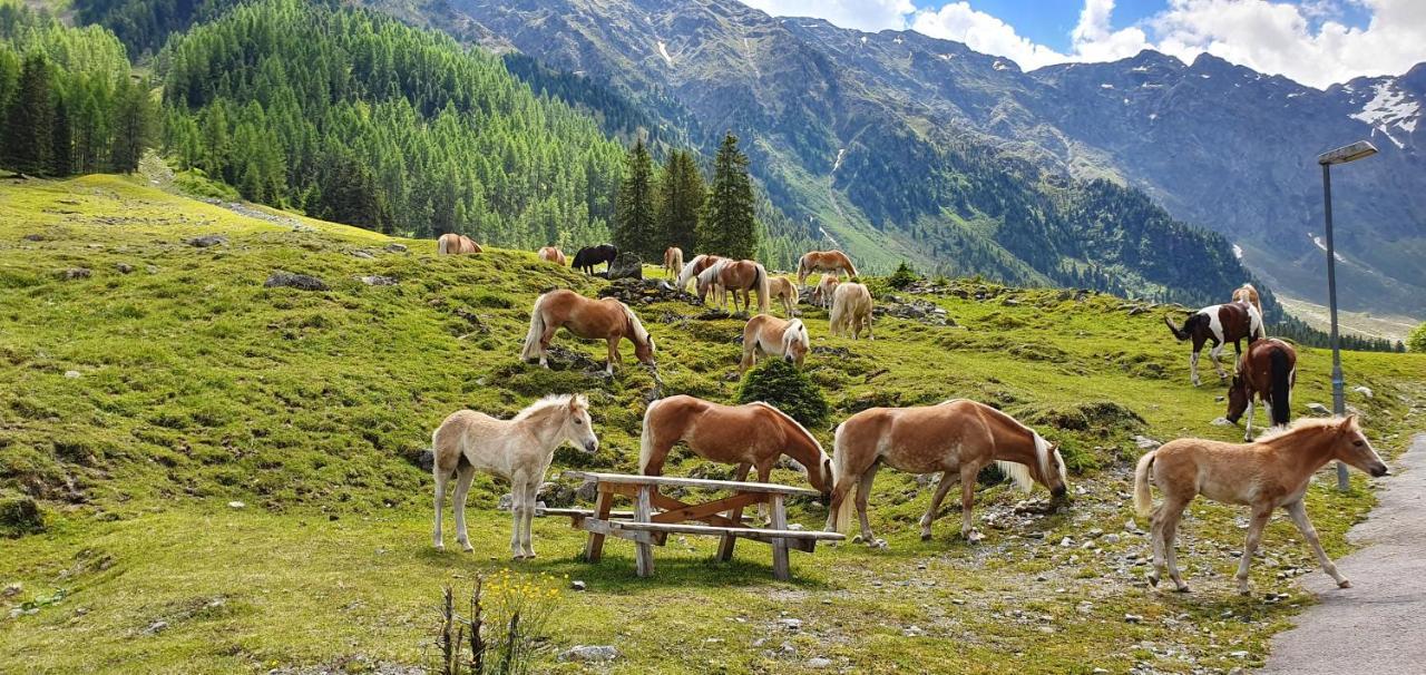 Gaestehaus Landhaus Tyrol Gries im Sellrain Ngoại thất bức ảnh