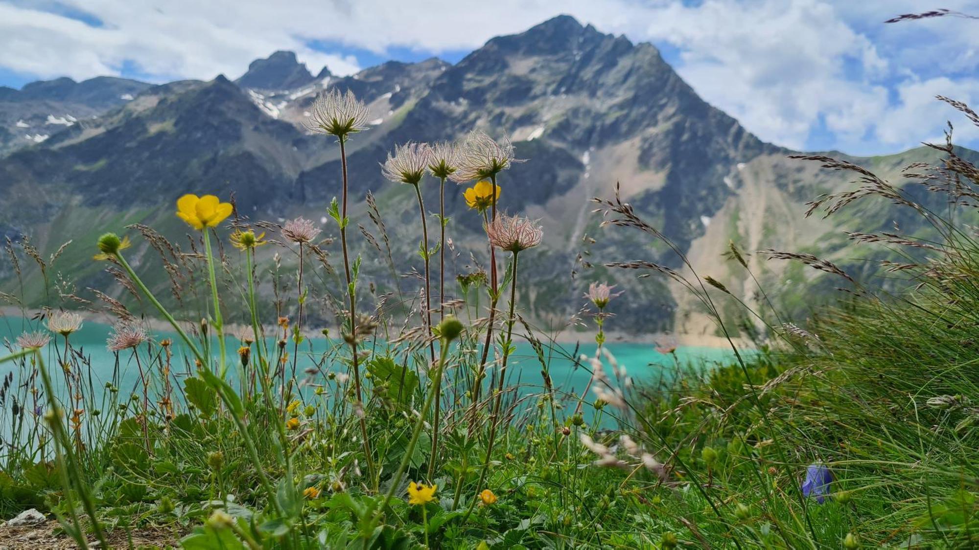 Gaestehaus Landhaus Tyrol Gries im Sellrain Ngoại thất bức ảnh