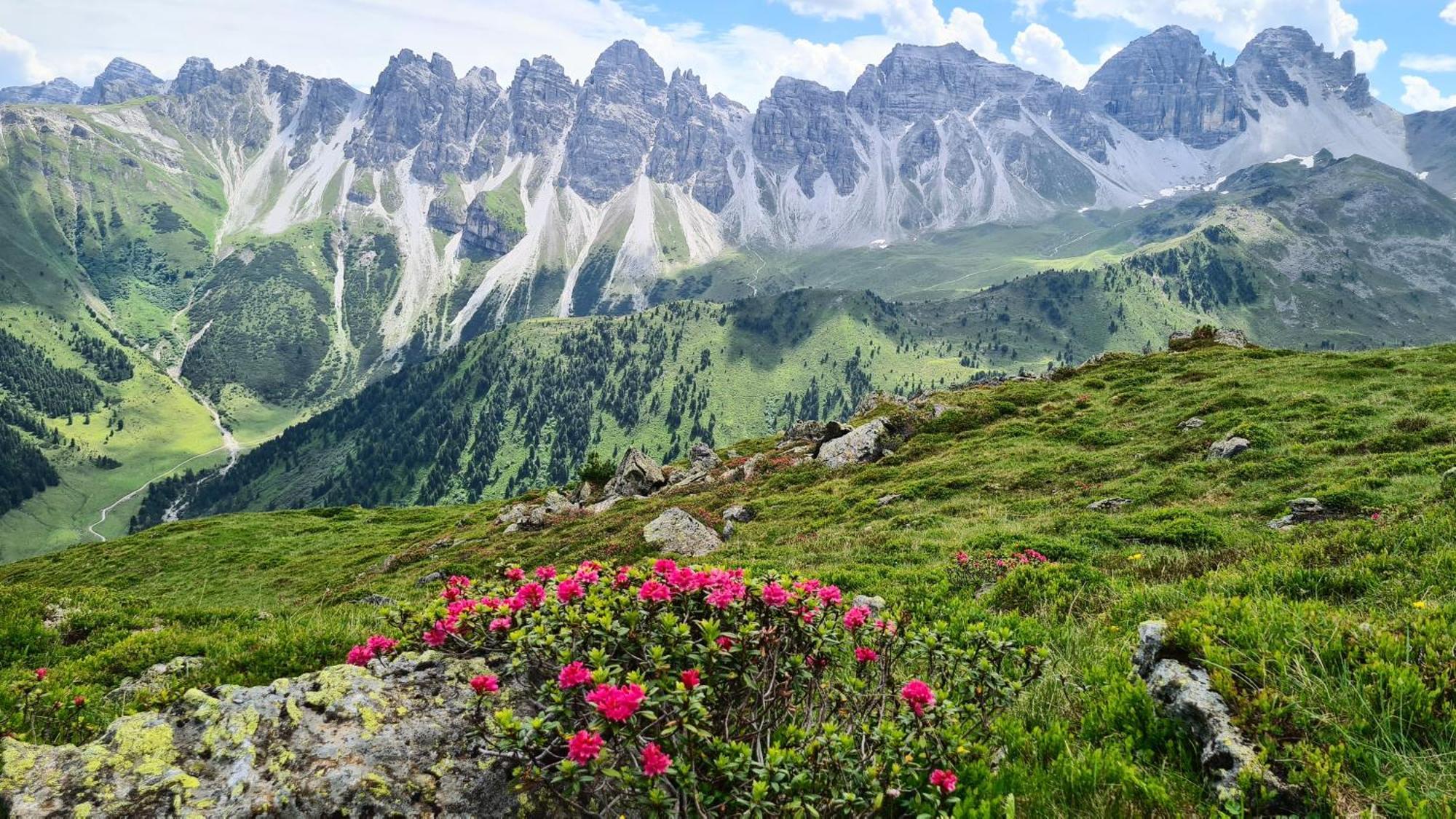 Gaestehaus Landhaus Tyrol Gries im Sellrain Ngoại thất bức ảnh