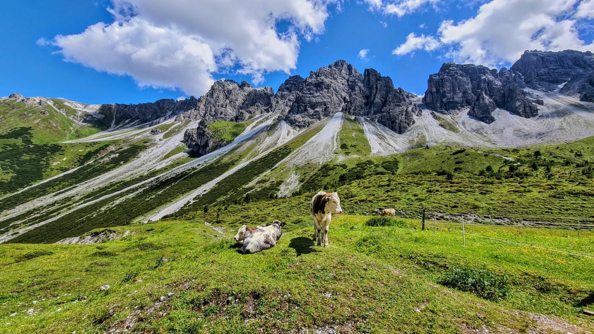 Gaestehaus Landhaus Tyrol Gries im Sellrain Ngoại thất bức ảnh