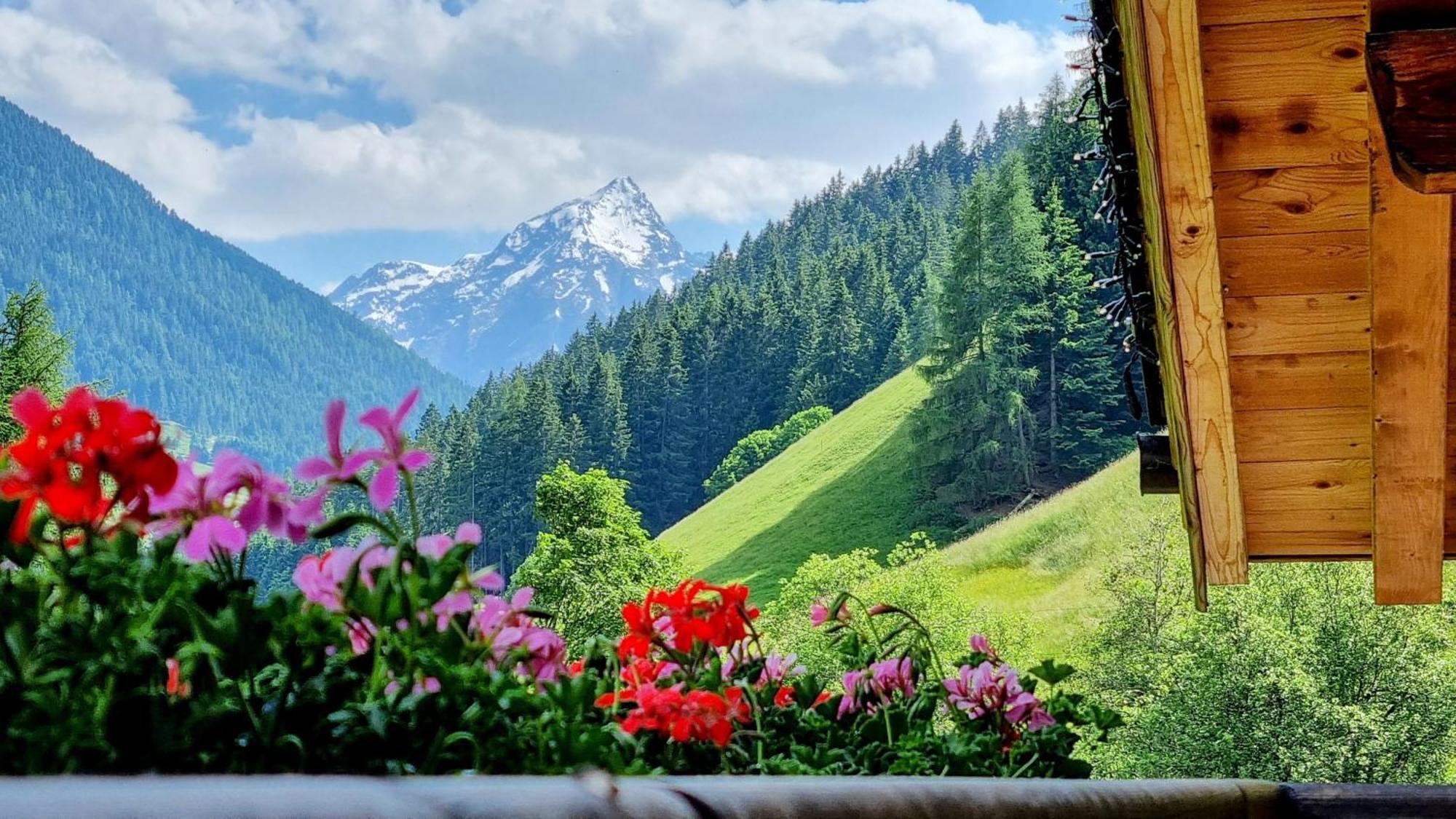 Gaestehaus Landhaus Tyrol Gries im Sellrain Ngoại thất bức ảnh