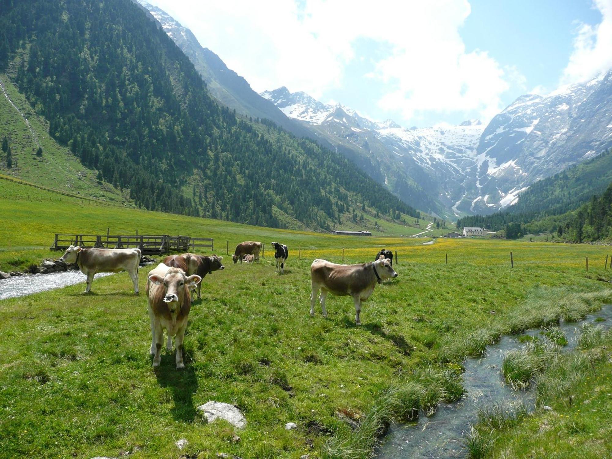 Gaestehaus Landhaus Tyrol Gries im Sellrain Ngoại thất bức ảnh
